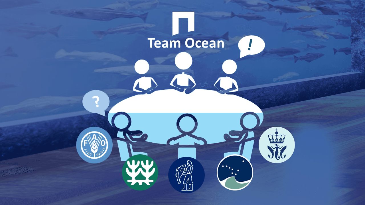 A roundtable discussion with invited governance representatives and the Visitor Center Ocean team seated across from each other
